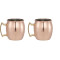Coffret cadeau 4 en 1 tasse mule de Moscou