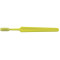 Concept Bold Brosse à Dents