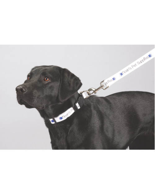 Laisse pour animaux de compagnie de qualité supérieure en couleur de 1 po de large Laisse pour animaux de compagnie de qualité supérieure en couleur de 1 po de large