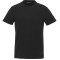 T-shirt ras du cou classique en coton American Giant - Hommes