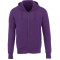 Sweat à capuche zippé en polaire CYPRESS pour hommes