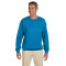 Chandail ras du cou en molleton Heavy BlendMD 13,3 oz, 50/50